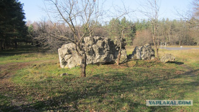 В гостях у Гитлера
