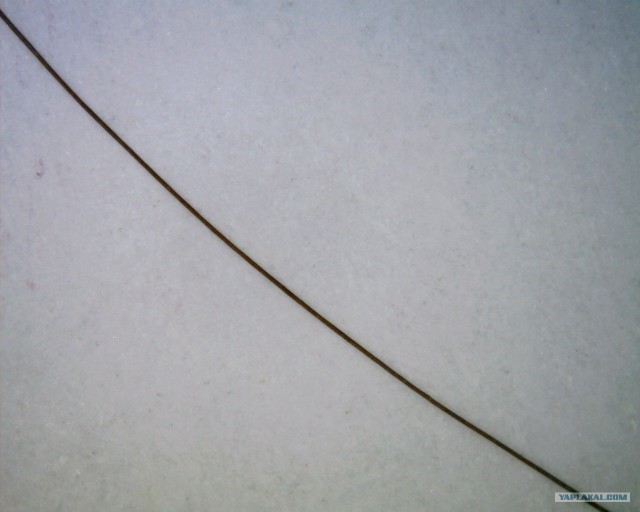 Простые вещи под микроскопом