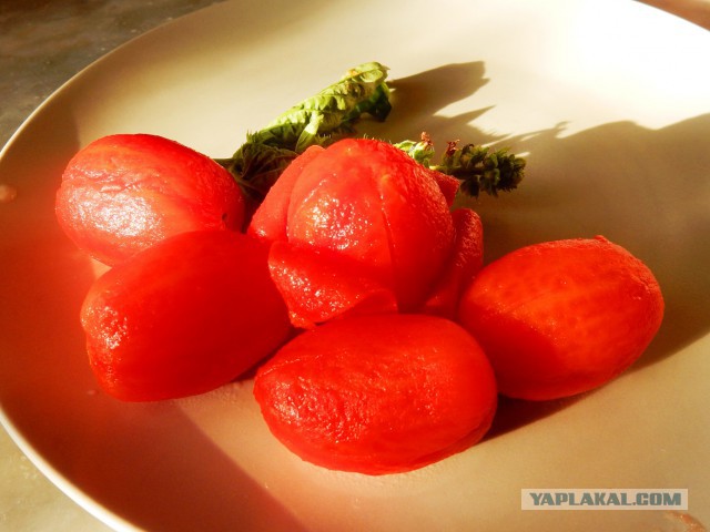 По следам прославленных кулинаров, День повара – 20 октября.