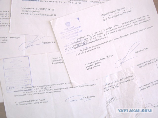 Защищая отару, елецкий фермер получил пулю в лицо