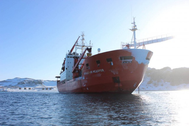 Полтора года зимы