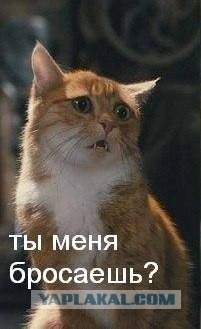 Ты меня бросаешь?