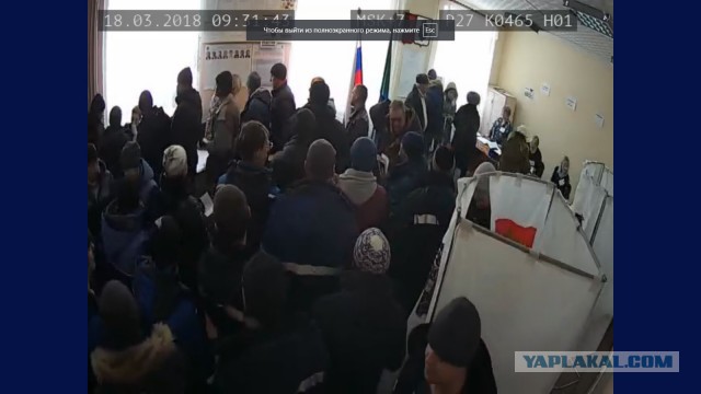 Видеотрансляция выборов 2018