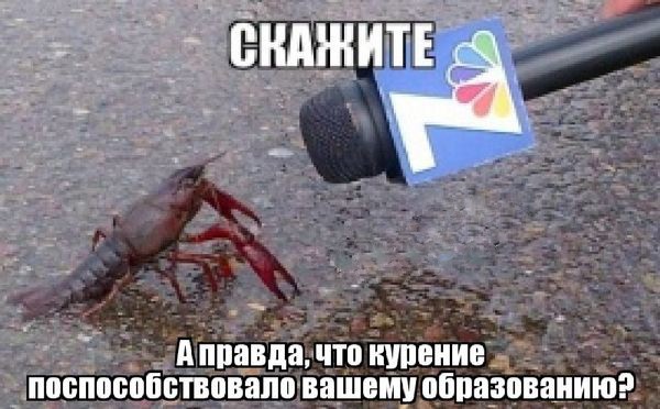 Умные мысли - 8