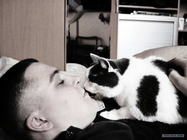 Котейкин вторник! Космический 12.04!