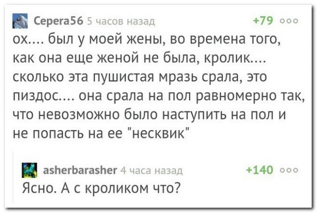 Немного занятных комментариев из социальных сетей на начало недели