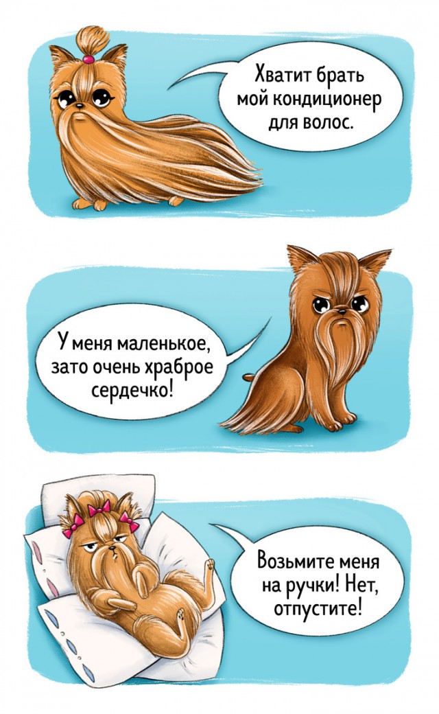 Гид по породам собак