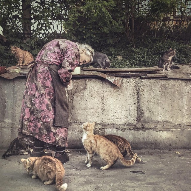 Жизнь в объективе фотографа Дмитрия Маркова