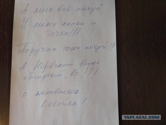 Мужчины умнеют. Женщины негодуют