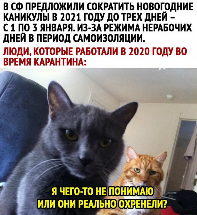 Подборка картинок 22.06.2020