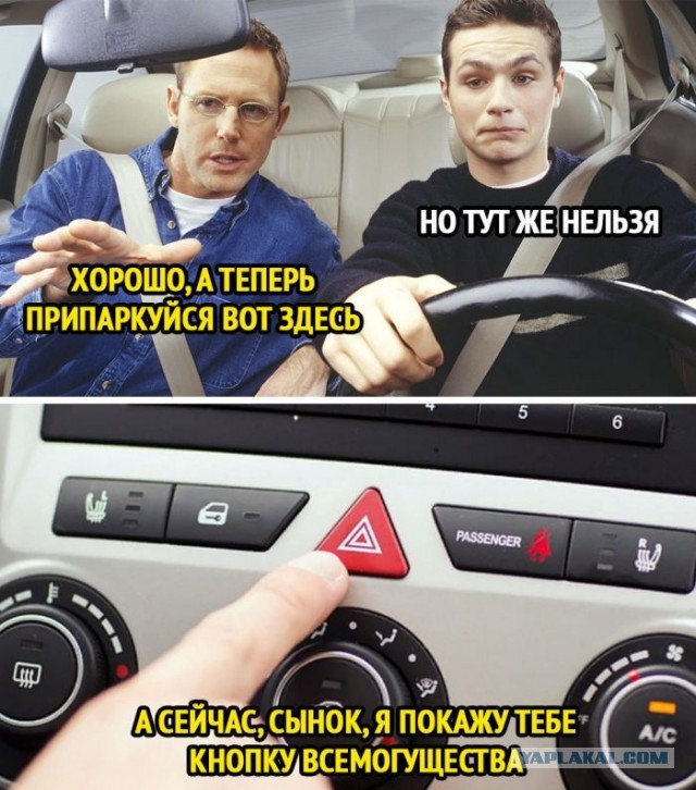 Весёлый полтишок 29.03
