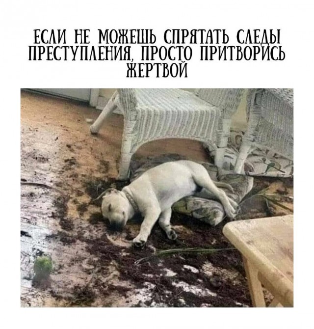 И где?