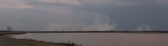 Битва за тайгу. Почему в Якутии такие пожары
