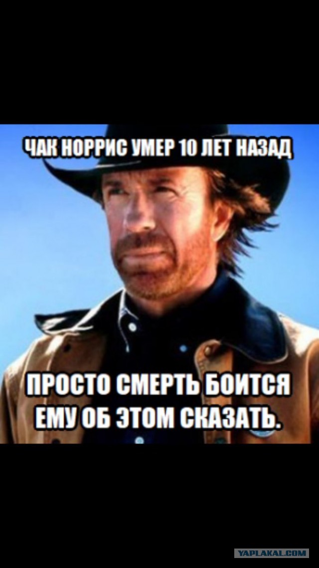 Чак Норрис в 81 год