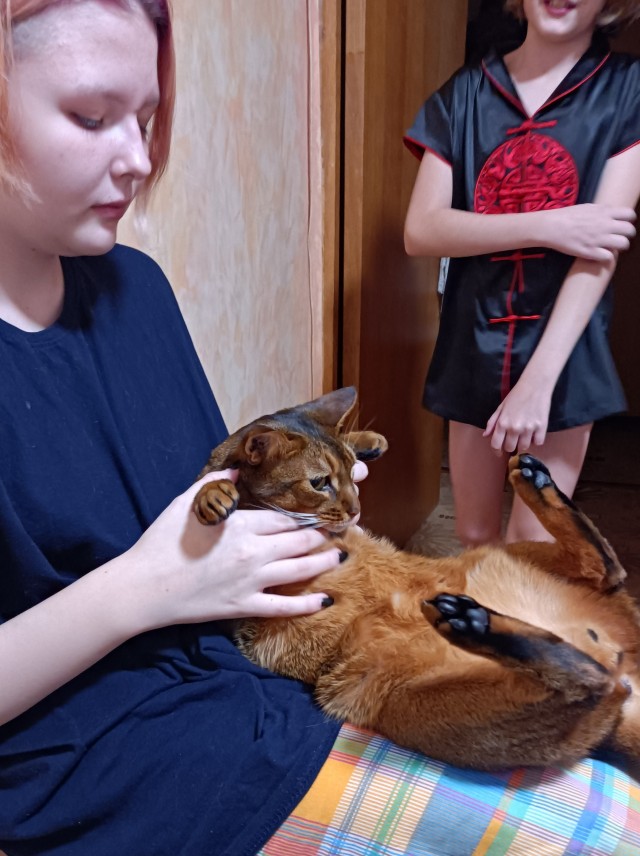 Котовторник 05.10.21 г