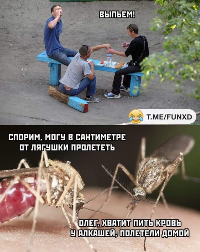 Очередная Хня вам в ленту, дорогие деграданты