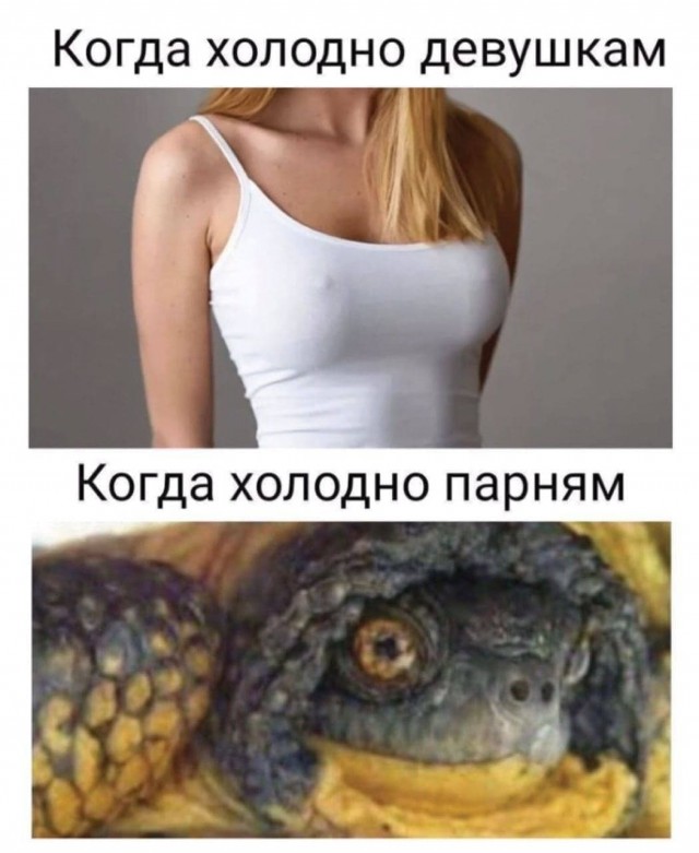 Картинки аморальные и всякие разные - 20