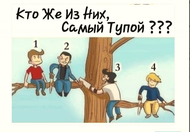 Так себе картинки 15.02.22