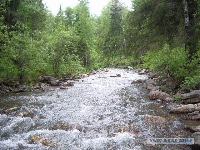 Сплав по Инзеру, Башкирия, 2008 г.