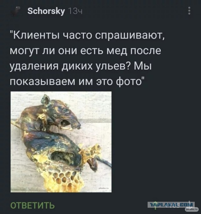 Домашний мед