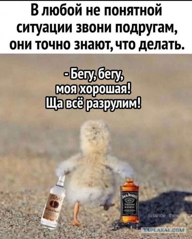 Алкогольные картинки