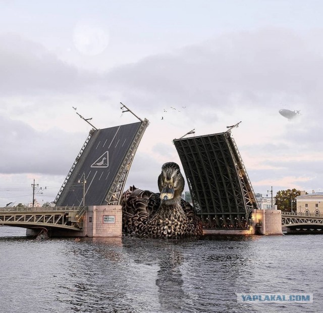 Пырожки с копуздой