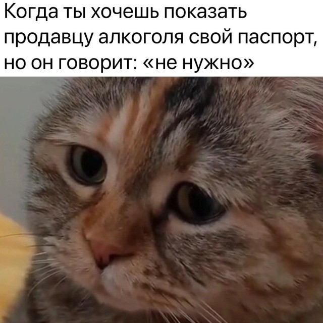 Так себе картинки 28.10.23