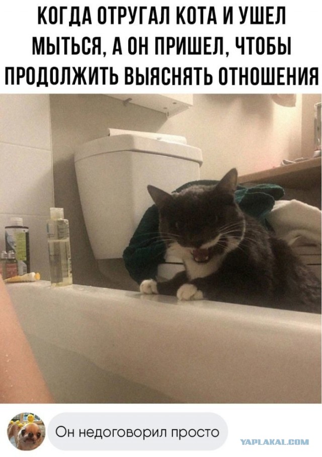 Разножанровые картинки. Без определённого смысла