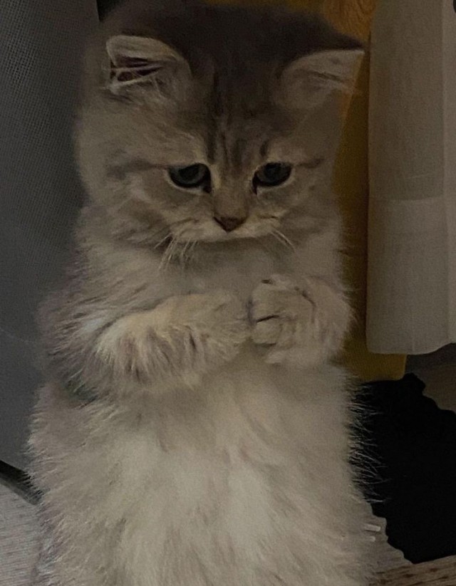 — А она что? А ты ей что? Ну ты даёшь, дорогая!