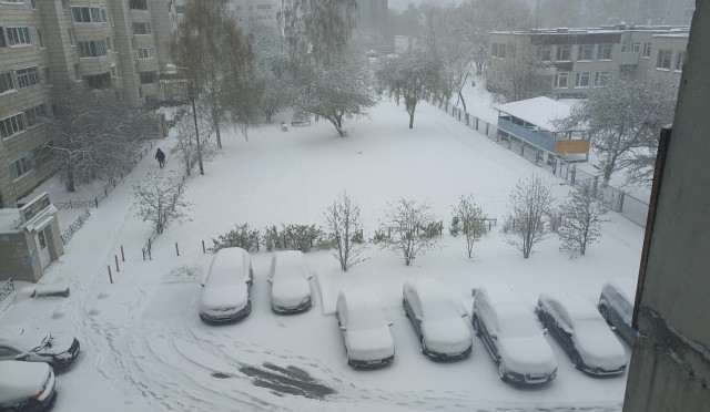 Май, ты чиво наделал?