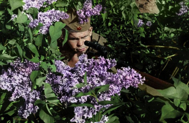 44 фото военных лет. 1941—1945