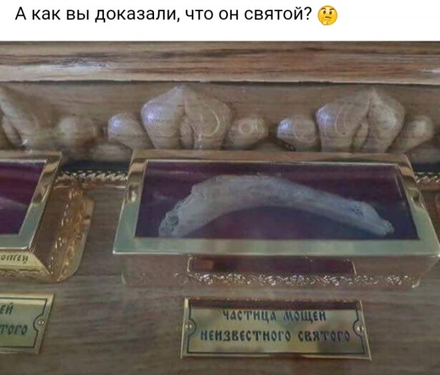 Весёлый полтишок 31.12.24