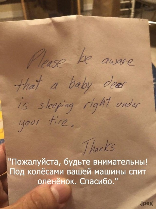 Так себе картинки 22.03.25
