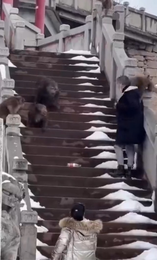 Такой Пхукет