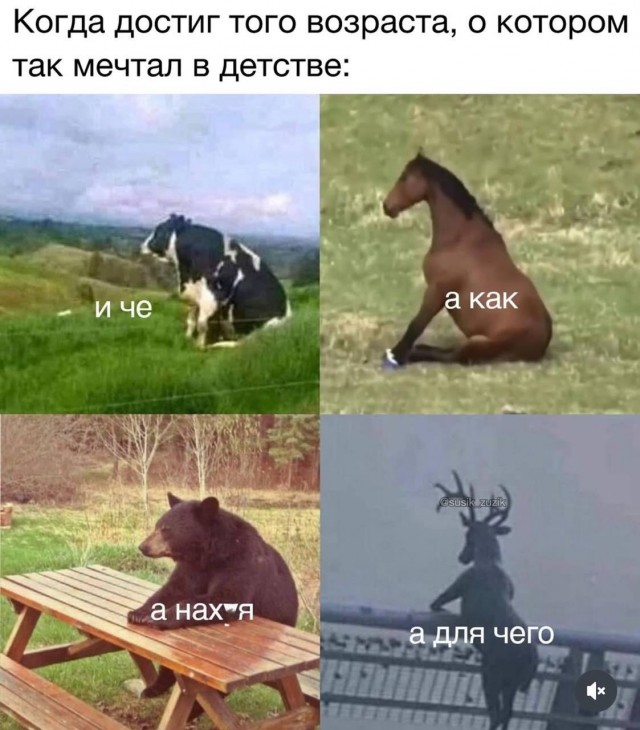 Завалялось тут случайно немного забавных картинок
