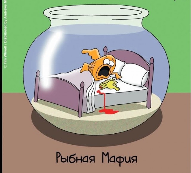 Маленькая пятница 4.06.25