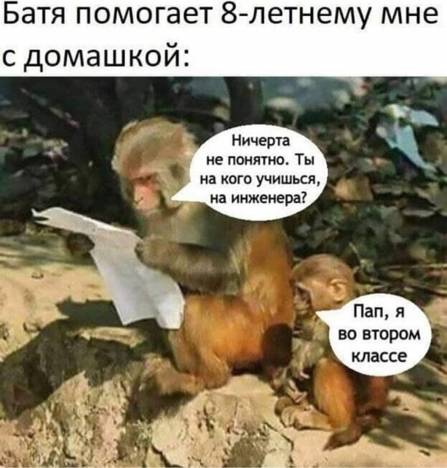 Веселый полтишок (09.07.2025)