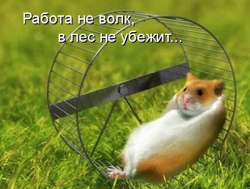 Россиян могут уволить за просмотр соцсетей на работе