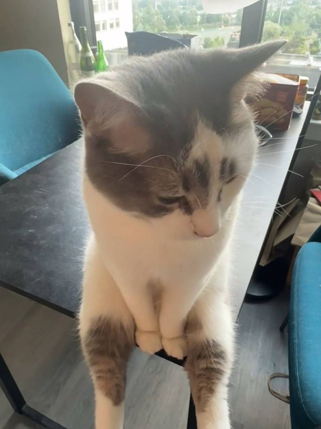 Есть у мужчин забава такая: