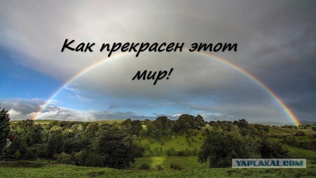 Ни один обочечник ещё от него не ушёл