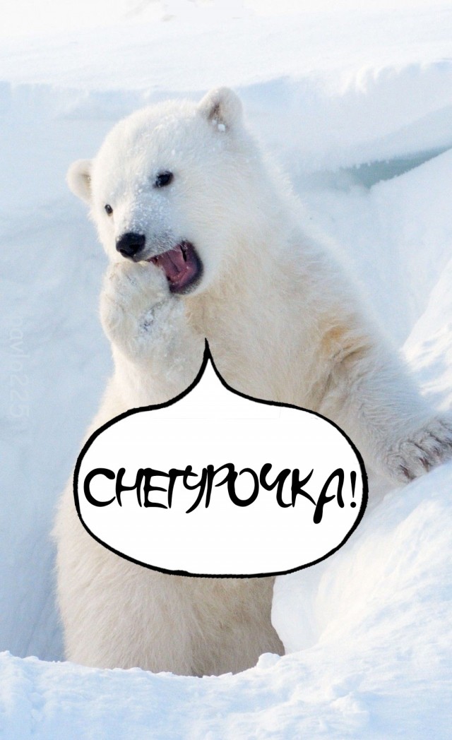 Зима уже скоро