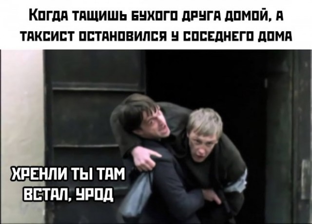 Веселые картинки в маленькую пятницу (17.12)