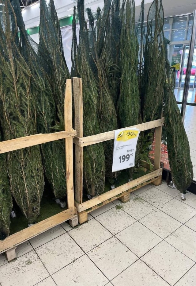 Ёлки с гигантской скидкой отдают российские магазины