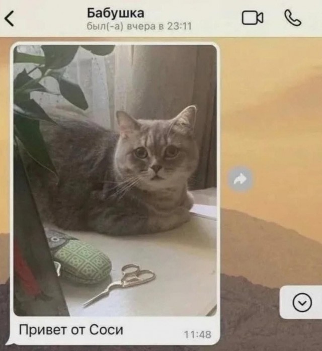 Картинки для улыбки #3