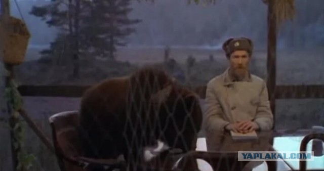 Дугин и медведи