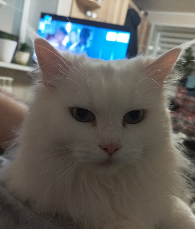 Перевод с женского⁠⁠