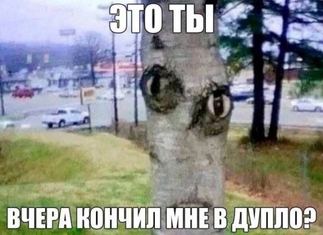 Что-то уже коньяка хочется