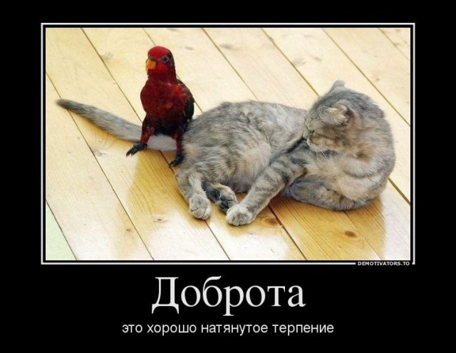 Дерзкие и брутальные