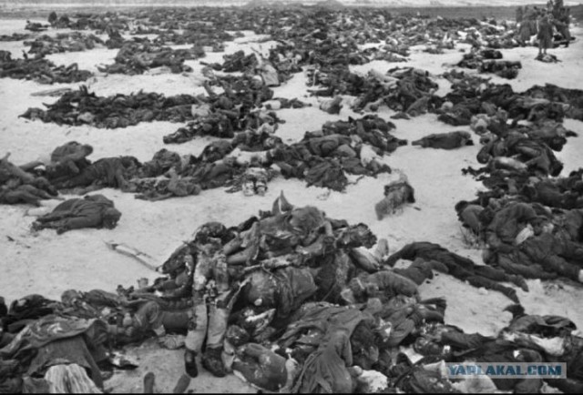Фотографии второй мировой, многие цветные (фото)