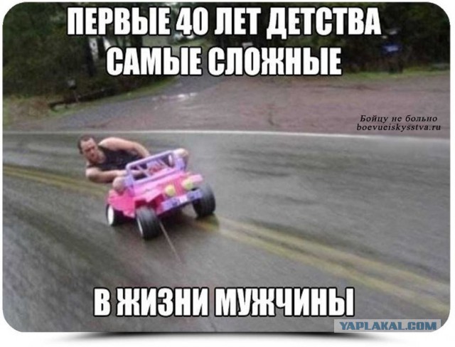 Прикольные фото и картинки